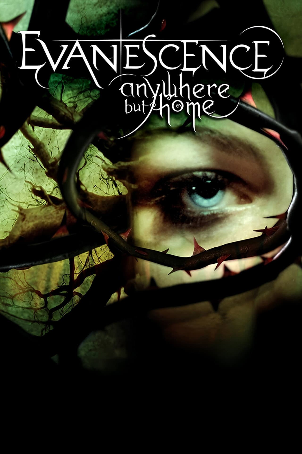 Evanescence: Anywhere But Home preview 2