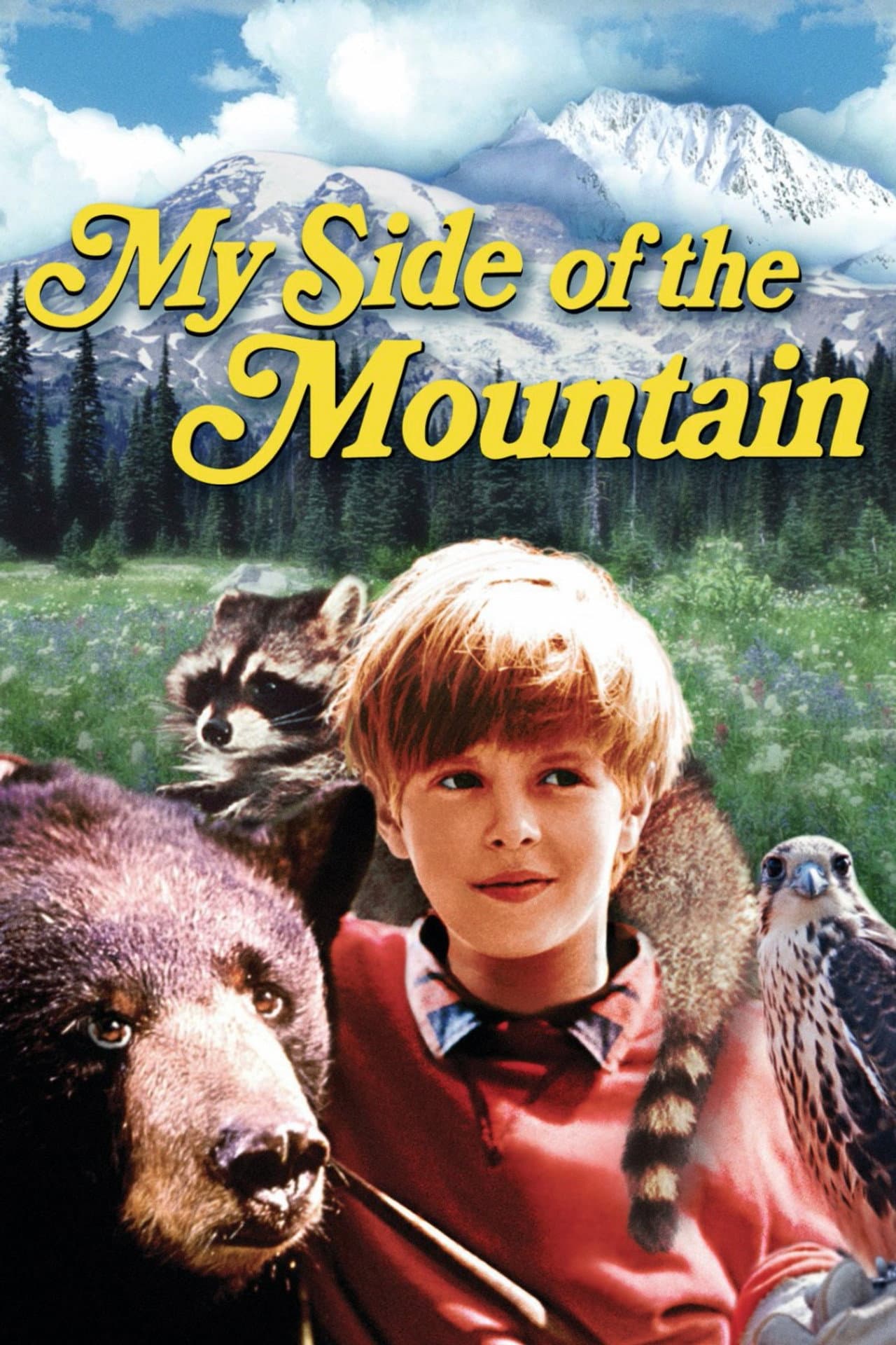 My Side of the Mountain preview 2