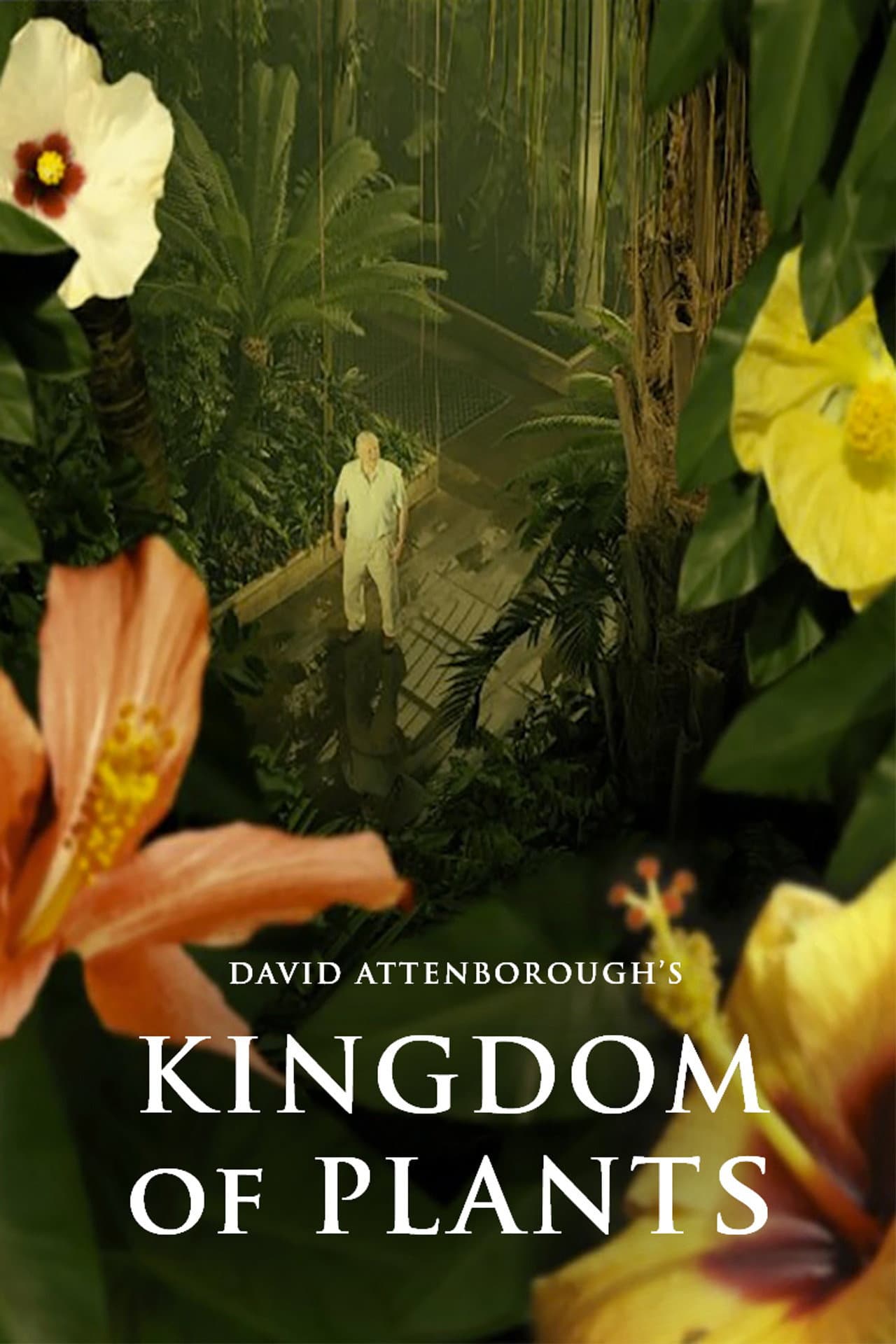 Kingdom of Plants preview 2