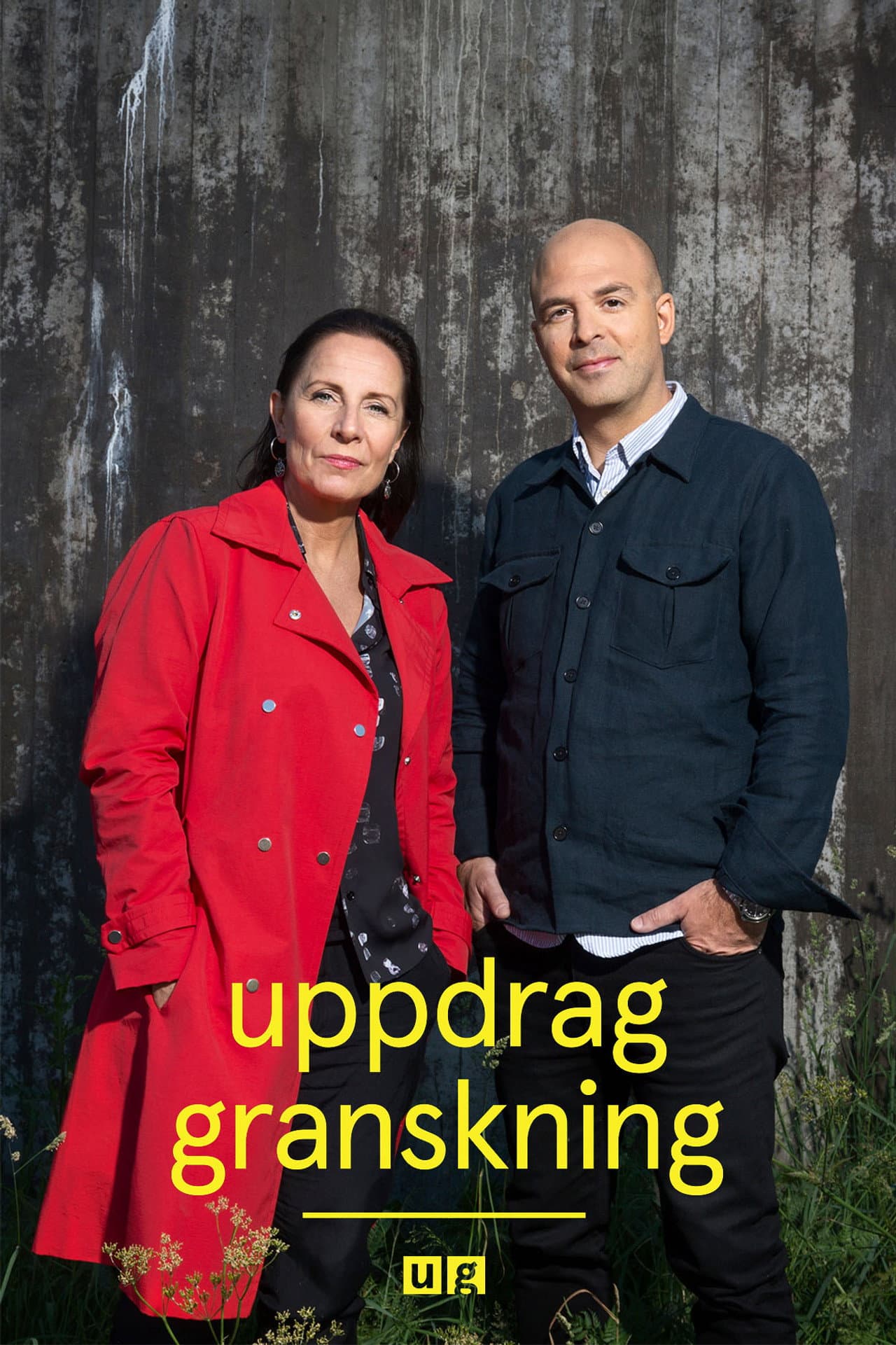 Uppdrag granskning preview 2