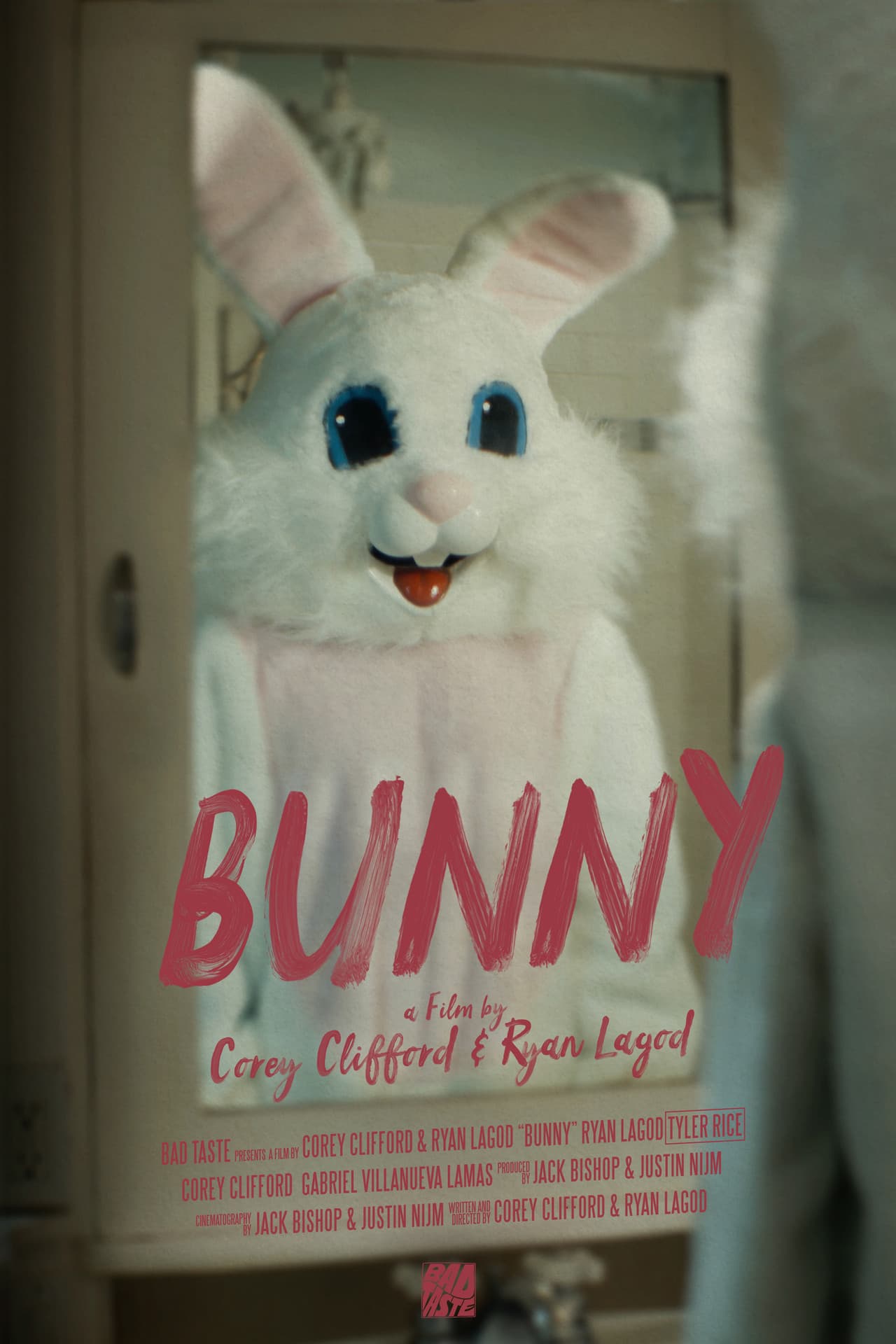 Bunny preview 2
