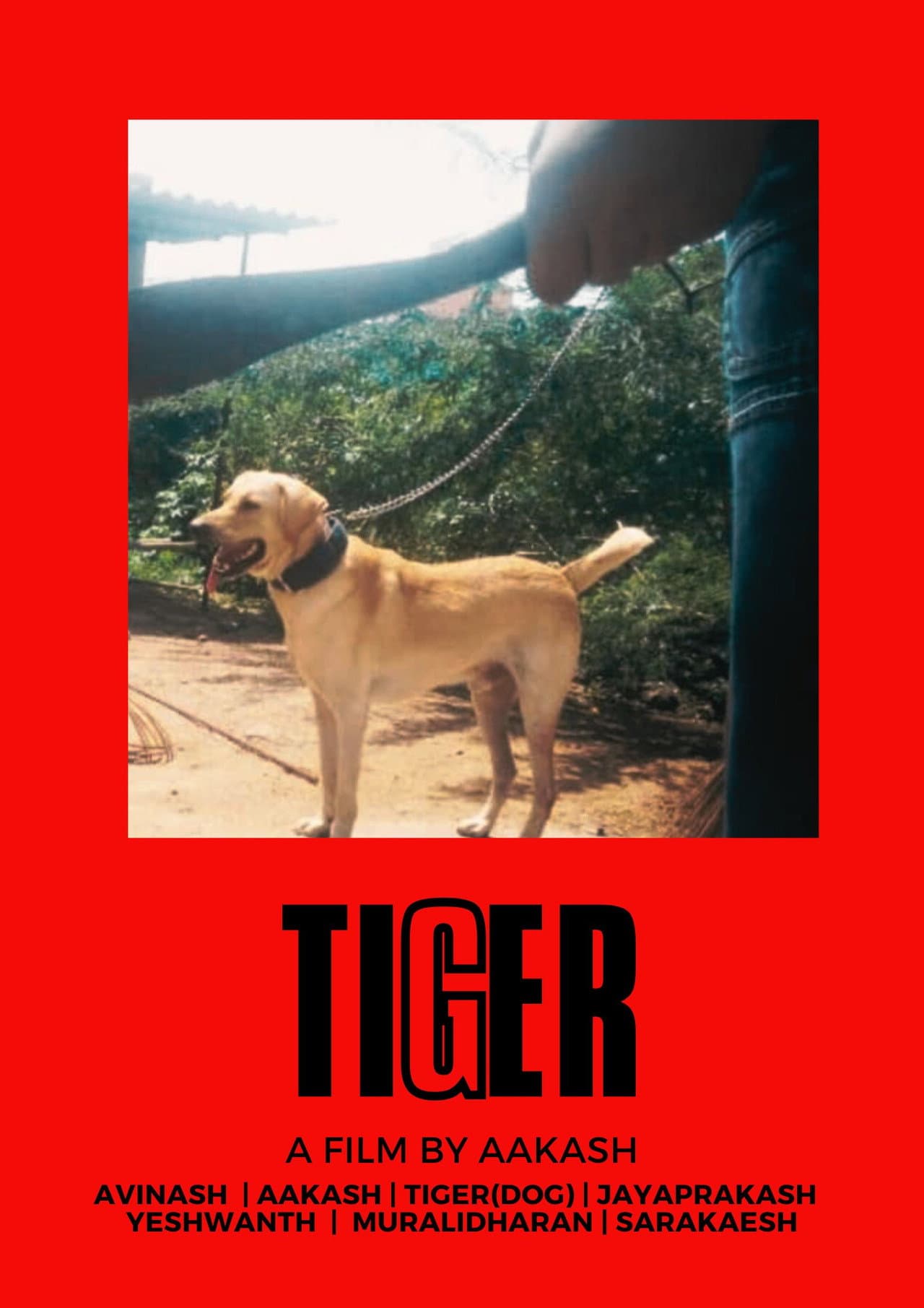 TIGER preview 2
