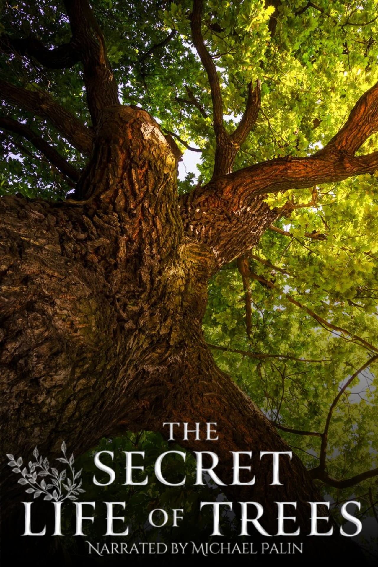 The Secret Life of Trees preview 2