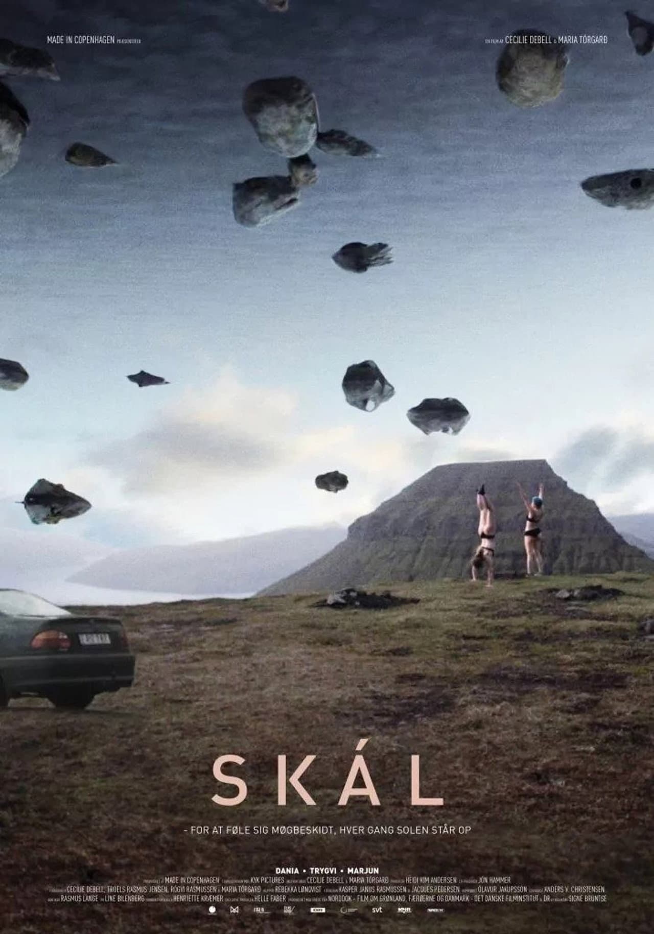 Skál preview 1