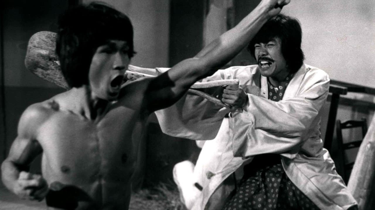 Bruce and the Dragon Fist