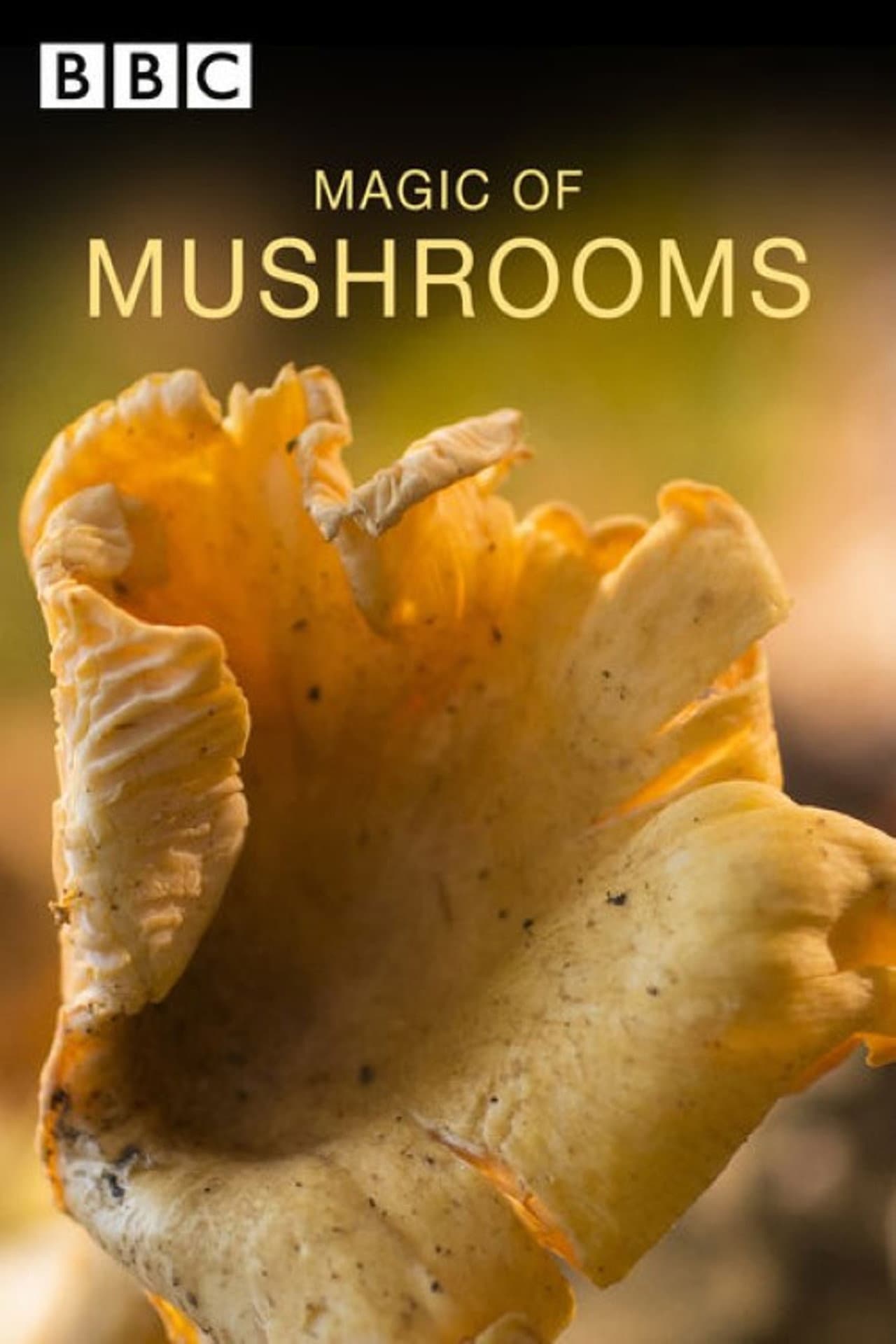 The Magic of Mushrooms preview 2