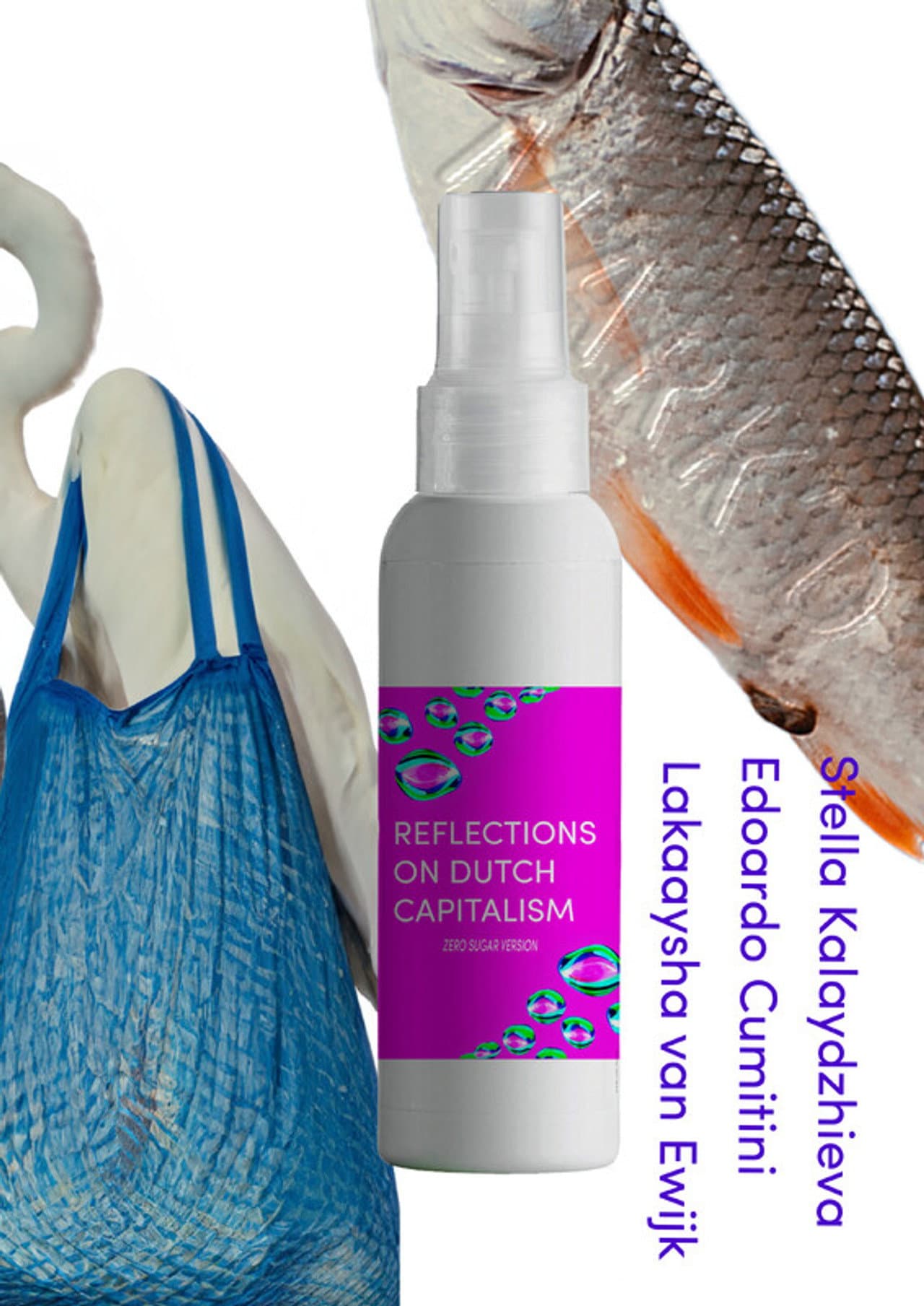 Reflections on Dutch Capitalism; Zero Sugar version preview 2