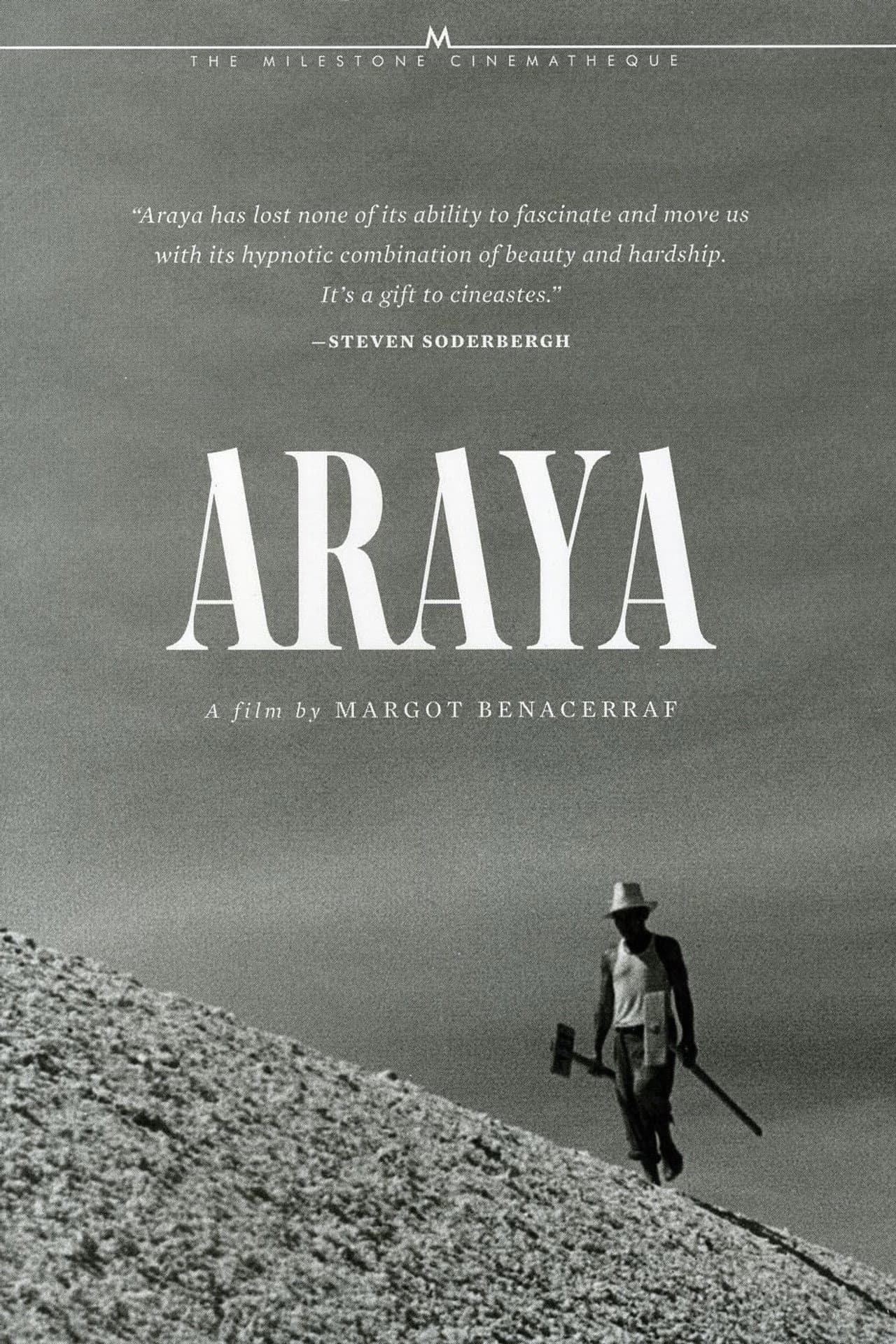 Araya preview 2