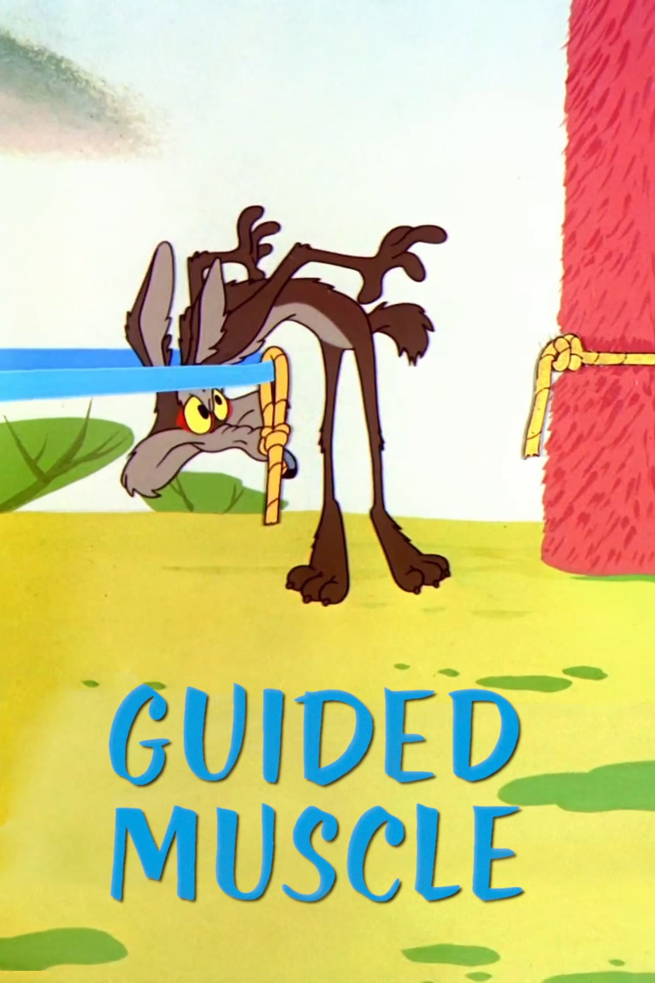 Guided Muscle preview 2