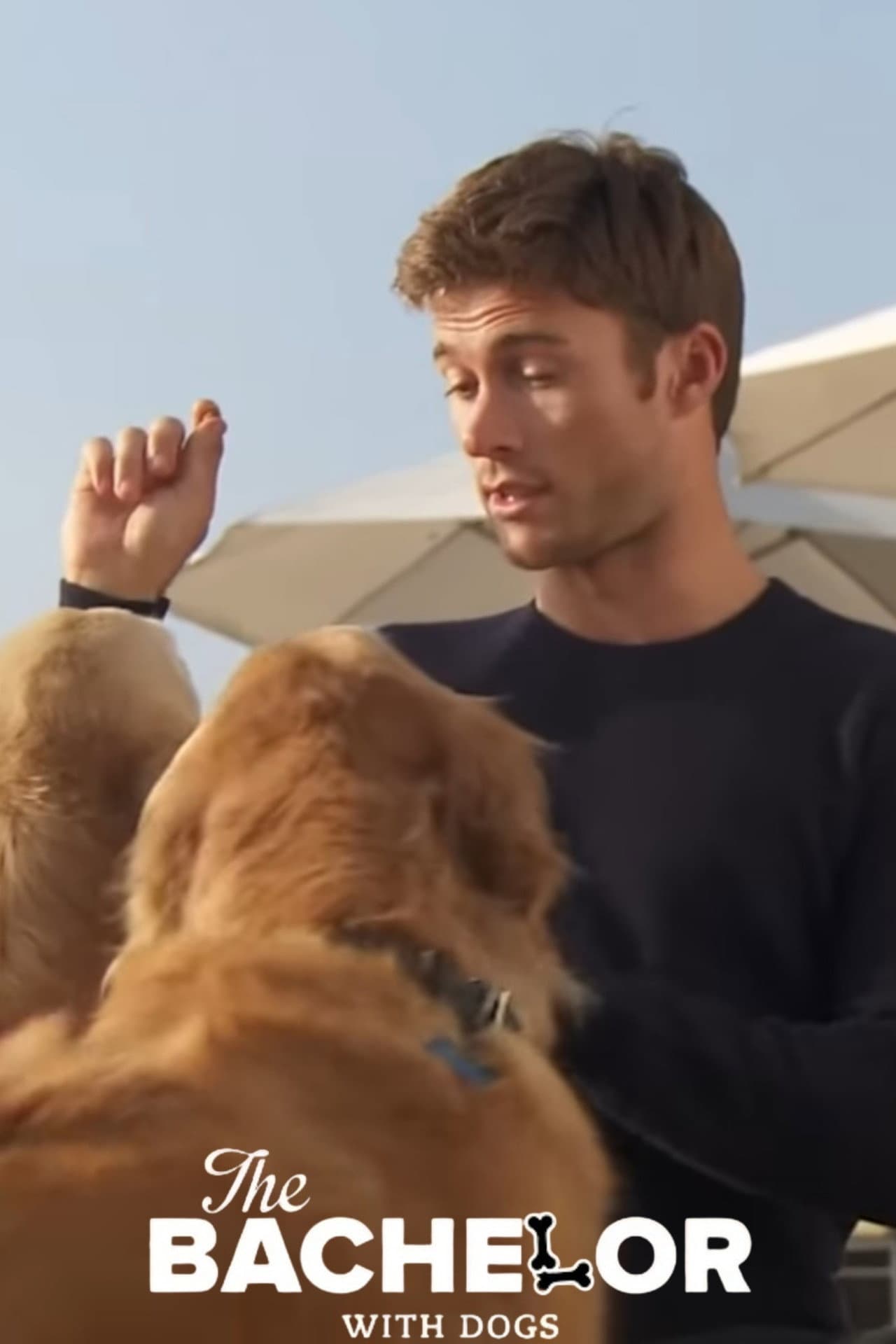 The Bachelor with Dogs and Scott Eastwood preview 2