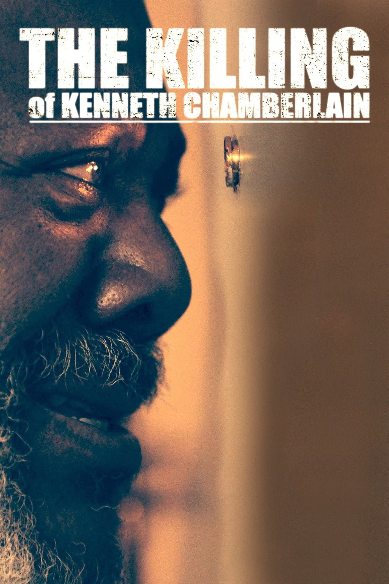 The Killing of Kenneth Chamberlain preview 2