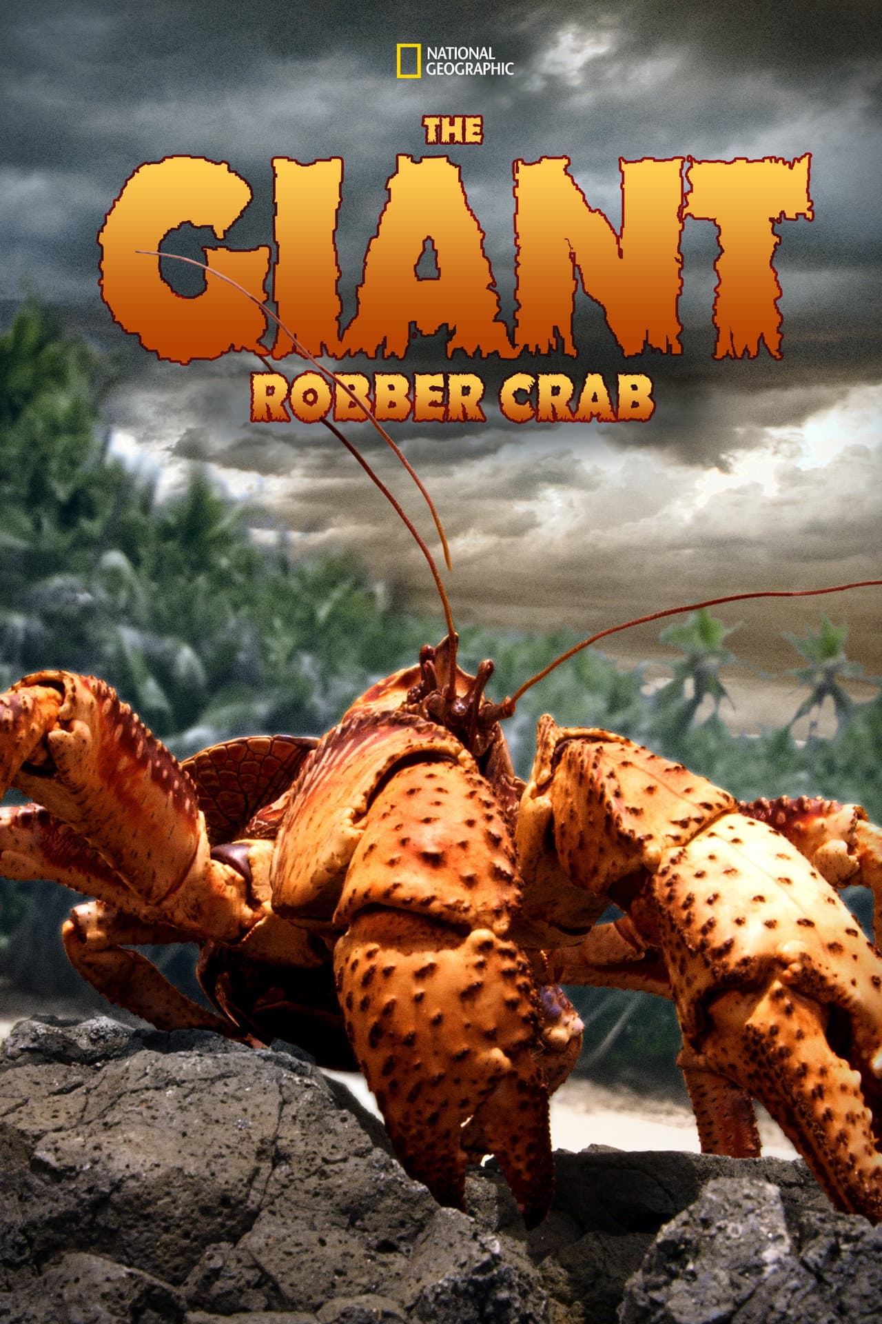 The Giant Robber Crab preview 2