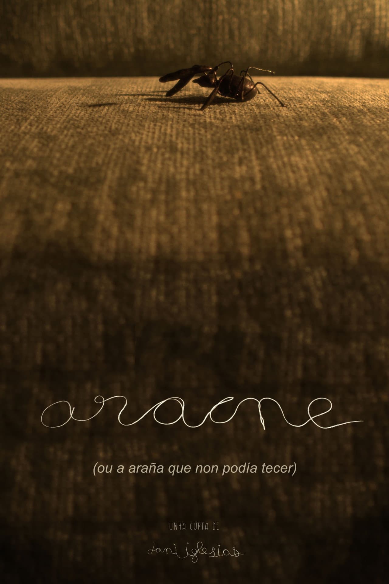 Aracne (ou a araña que non podía tecer) preview 2