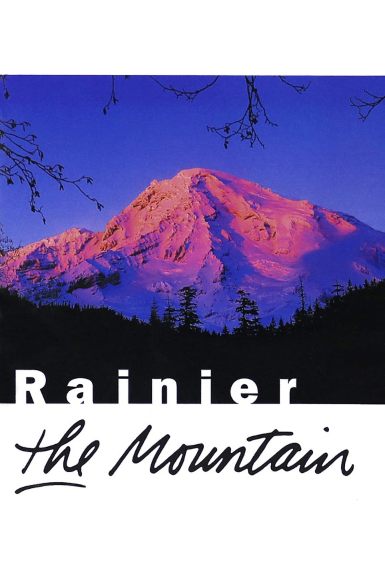 Rainier: The Mountain preview 2