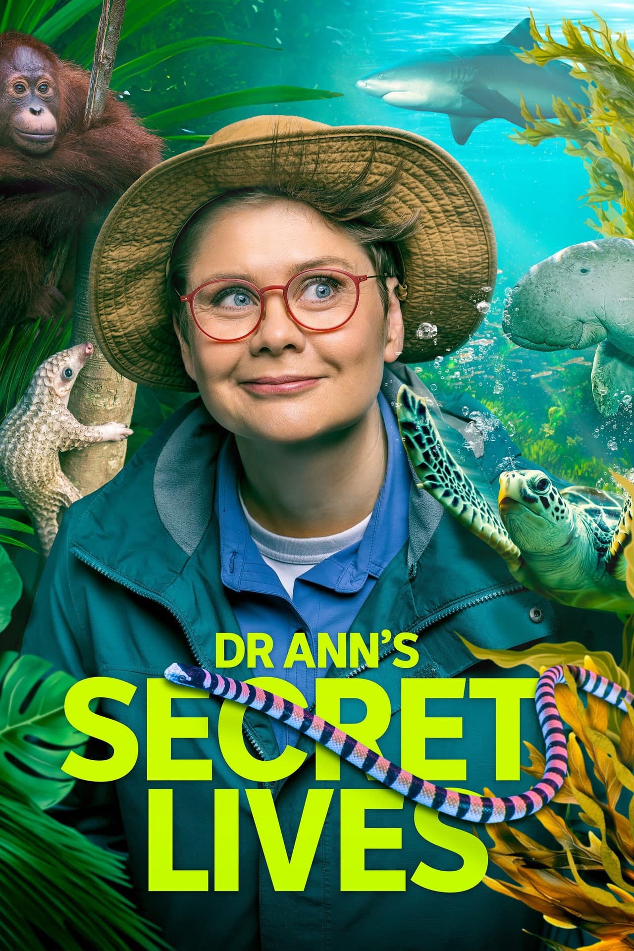 Dr Ann's Secret Lives preview 2