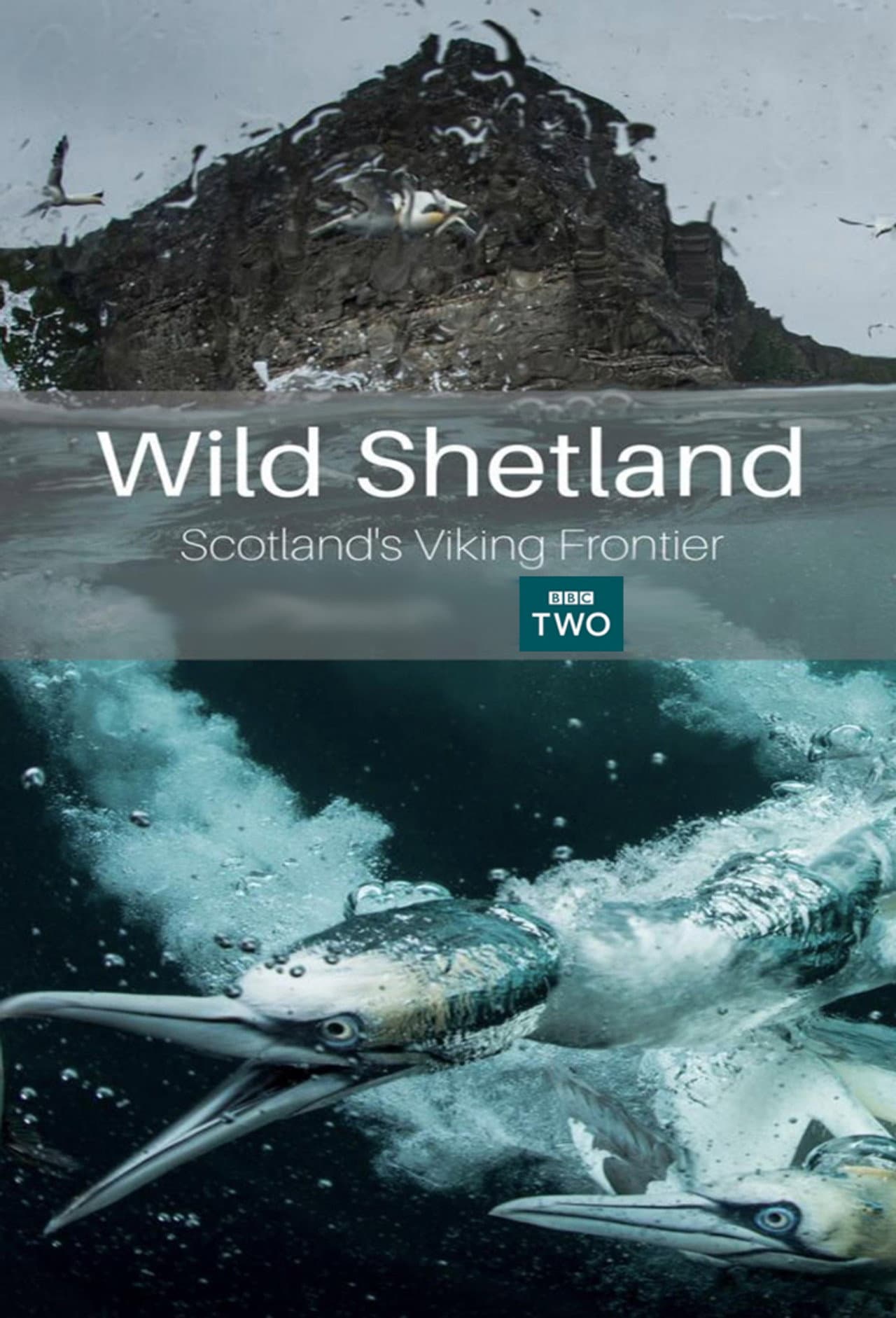 Wild Shetland: Scotland's Viking Frontier preview 2