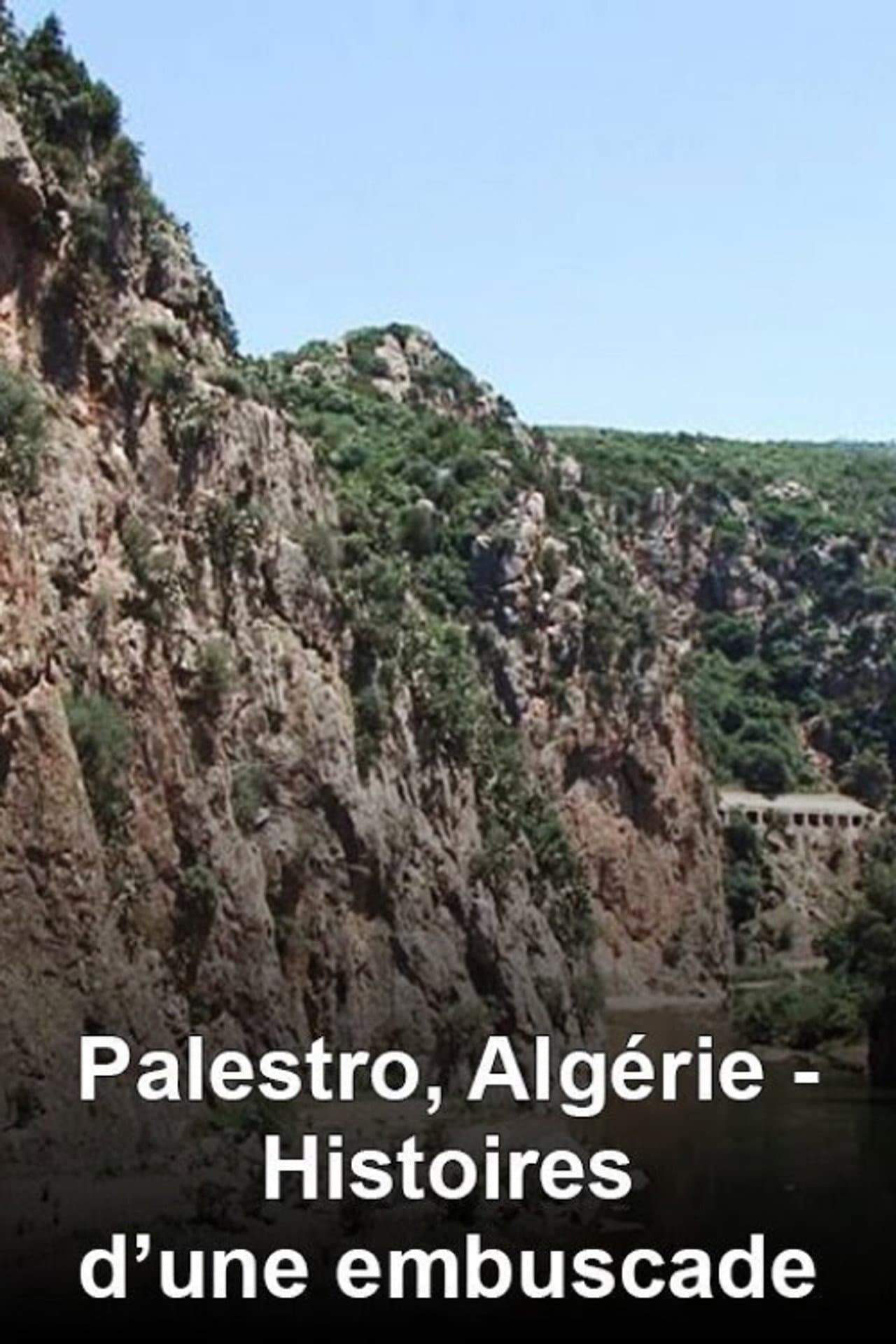 Palestro, Algérie : Histoires d'une embuscade preview 1