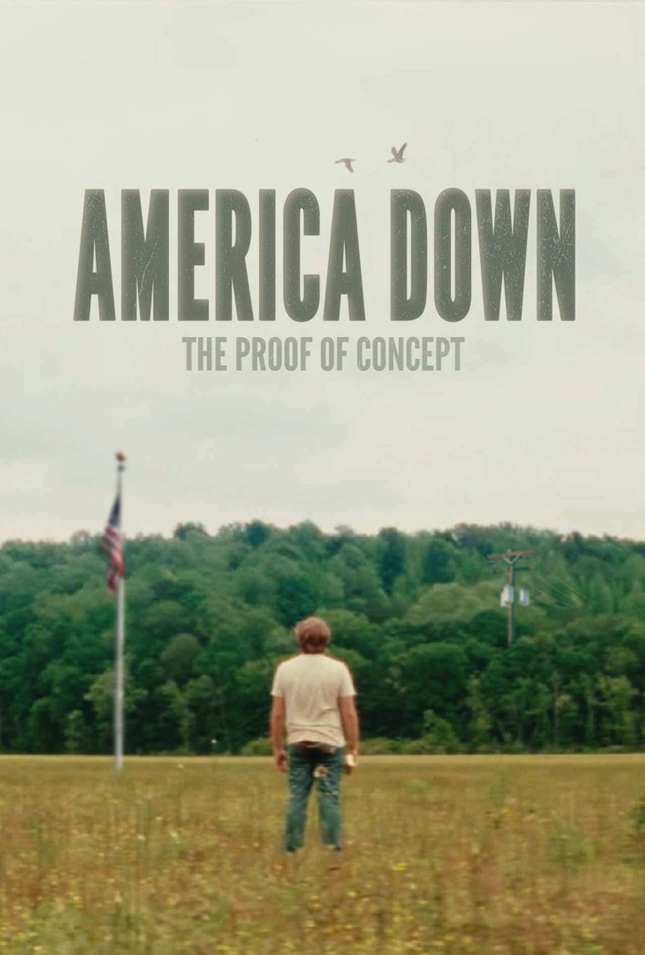America Down: The Proof of Concept preview 1