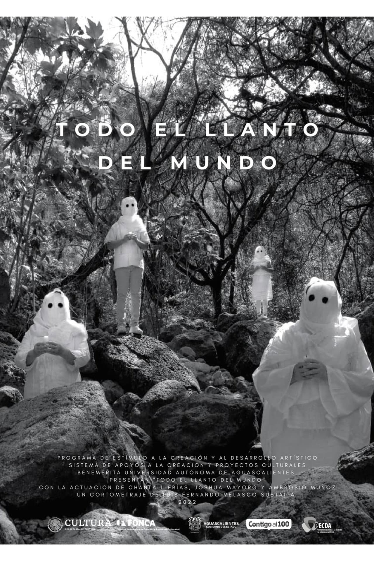 Todo el llanto del mundo preview 2
