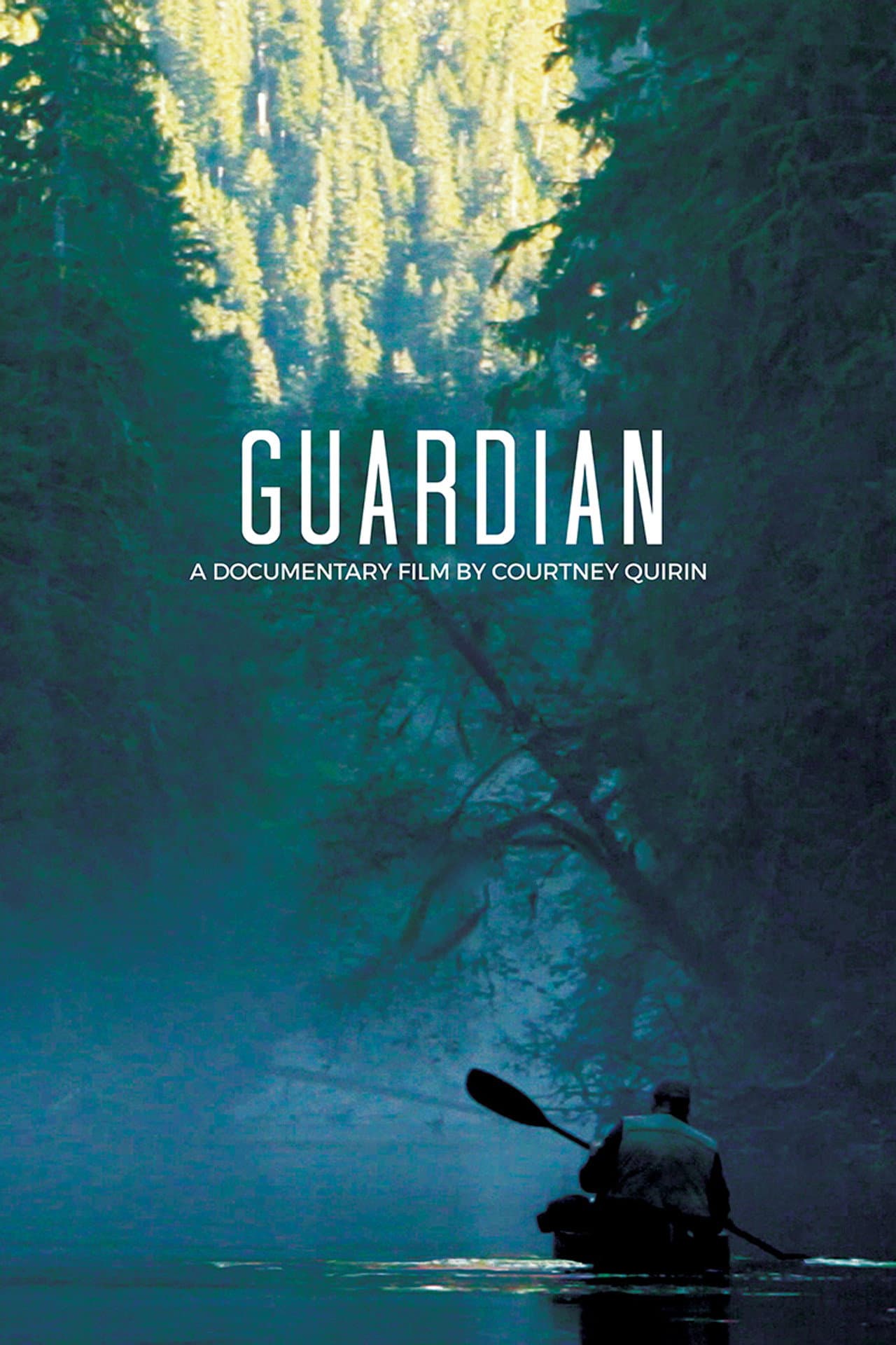 Guardian preview 2