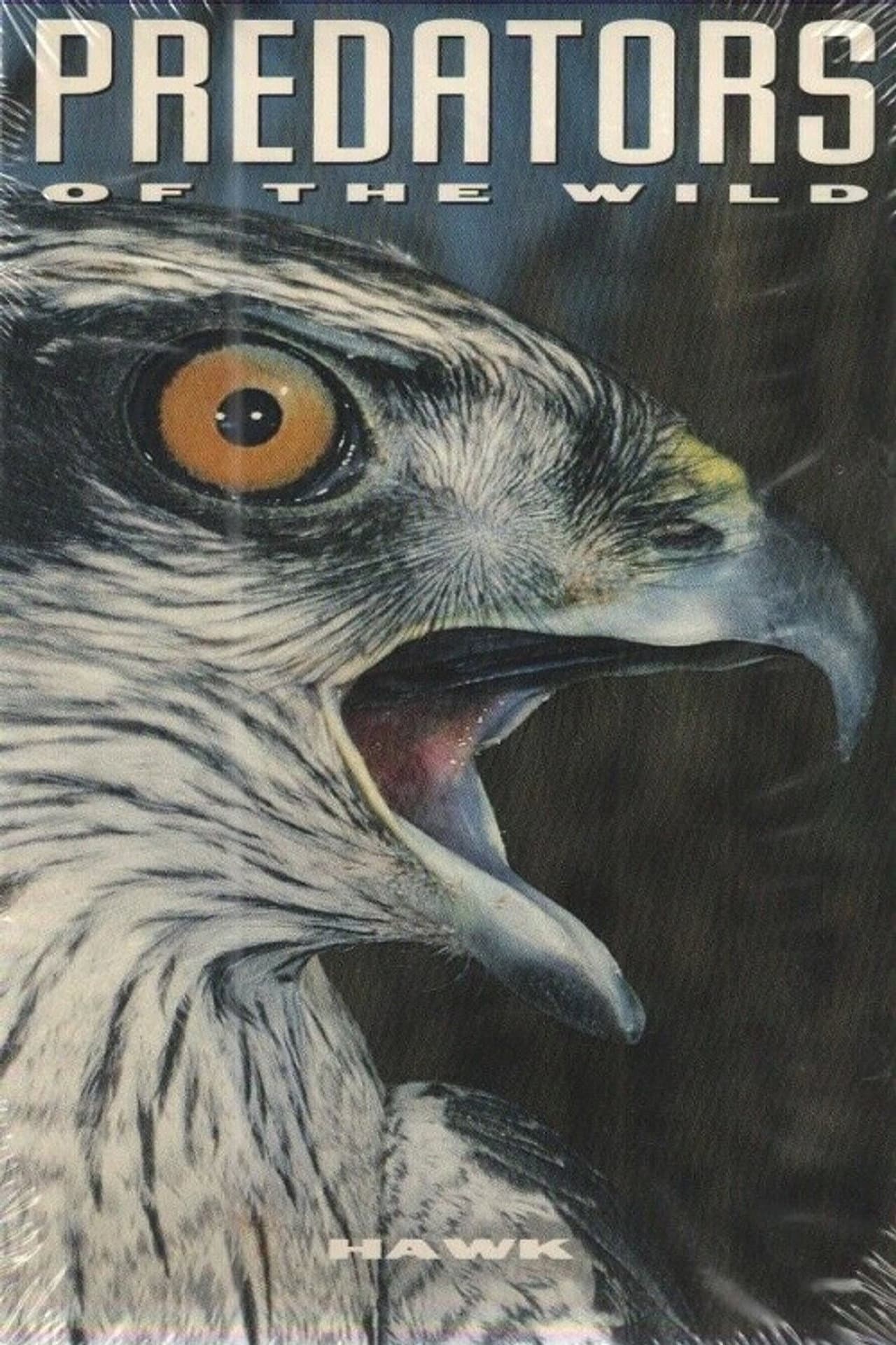 Predators of the Wild: Hawk preview 2