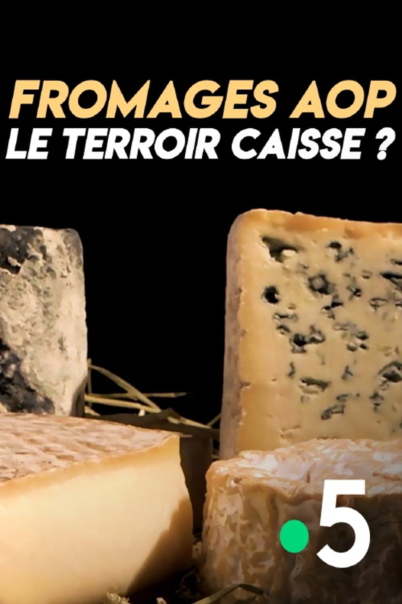 Fromages AOP : le terroir caisse ? preview 1