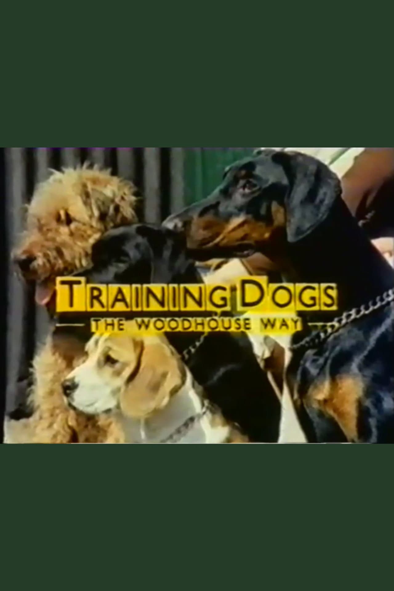 Training Dogs the Woodhouse Way preview 2