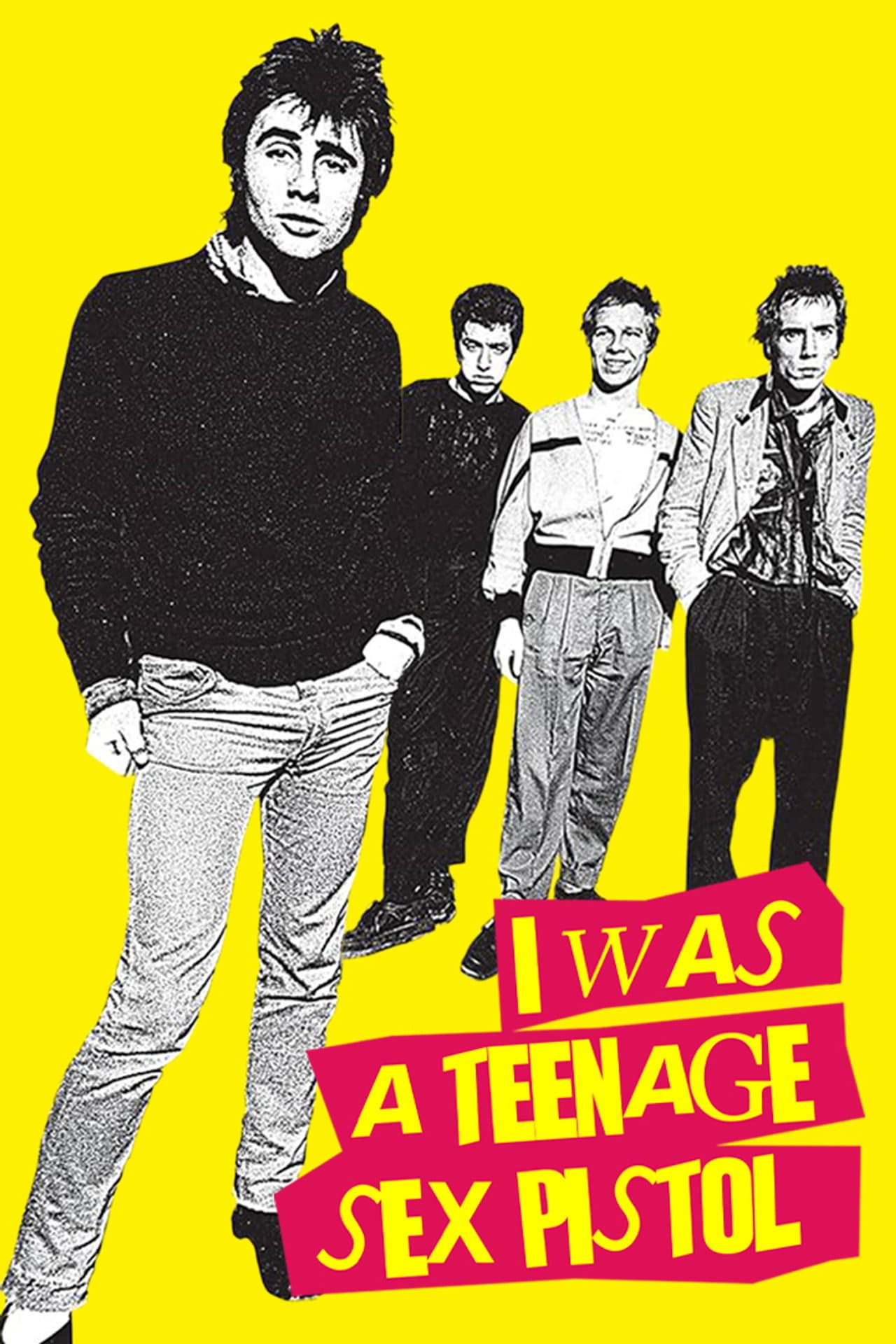 I Was a Teenage Sex Pistol preview 2