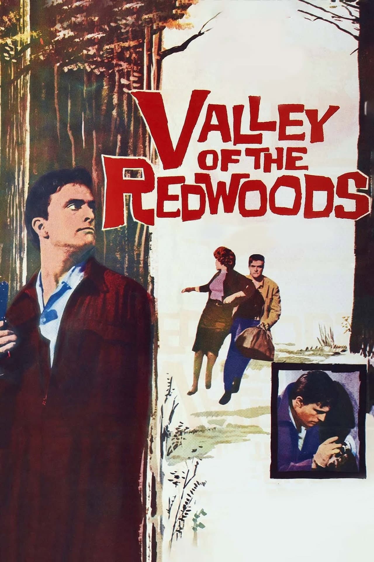 Valley of the Redwoods preview 2