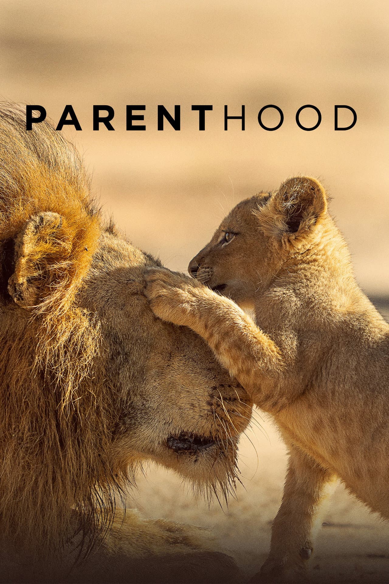 Parenthood preview 2