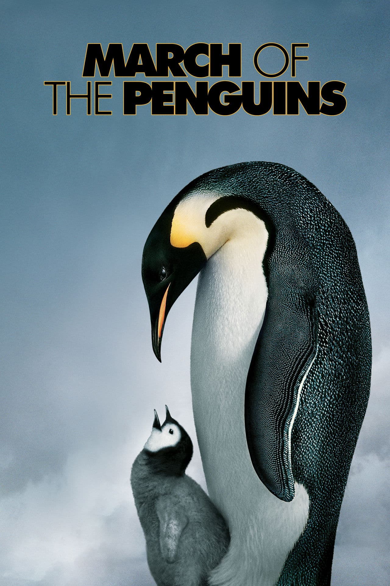 March of the Penguins preview 2