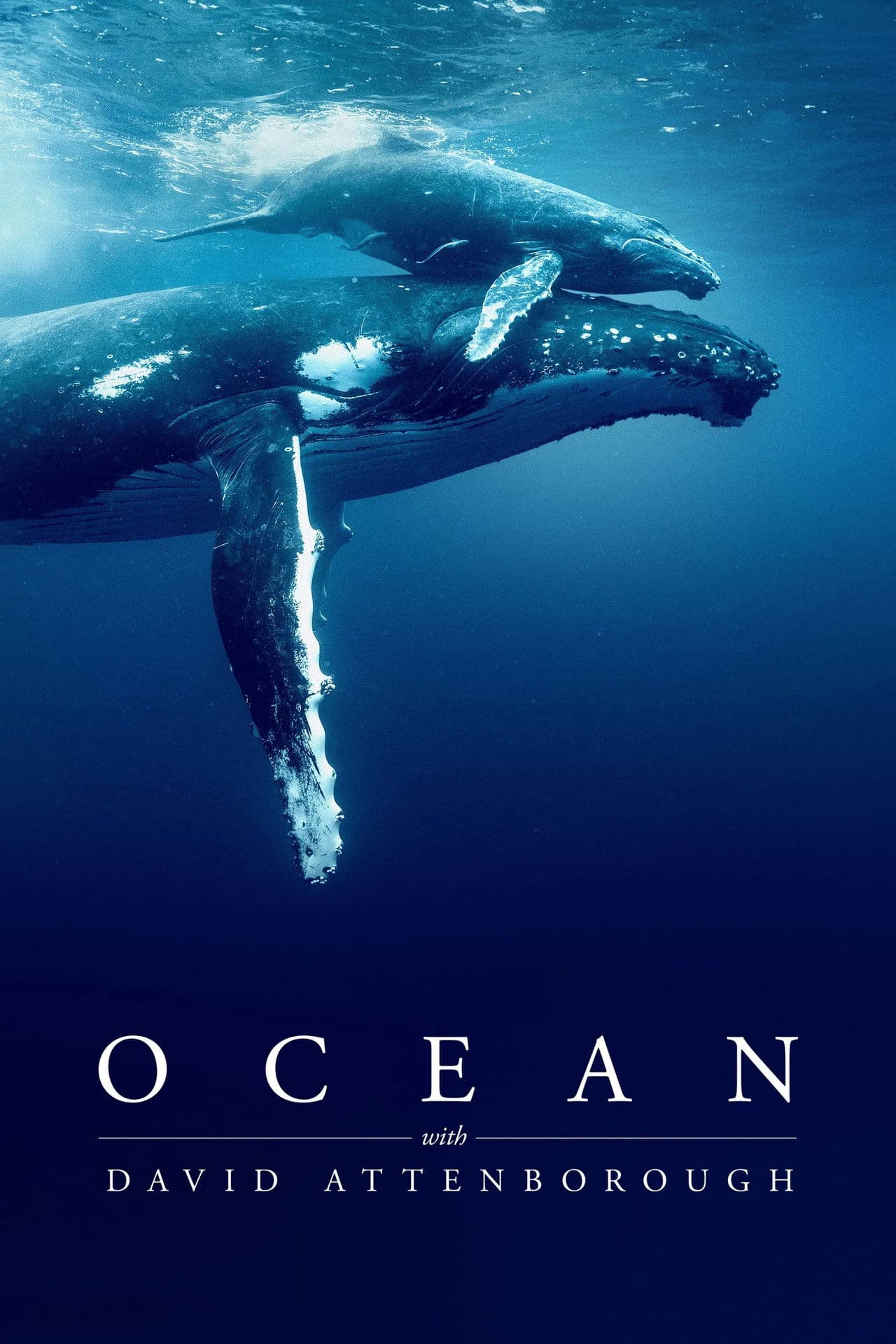 Ocean with David Attenborough preview 2