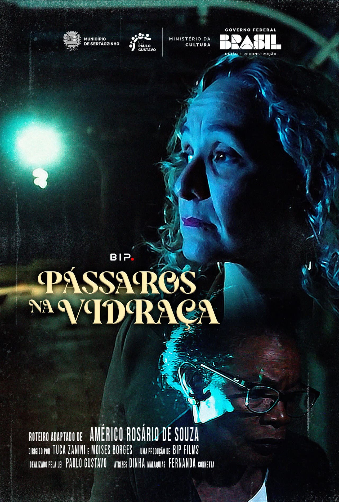 Pássaros na Vidraça preview 2