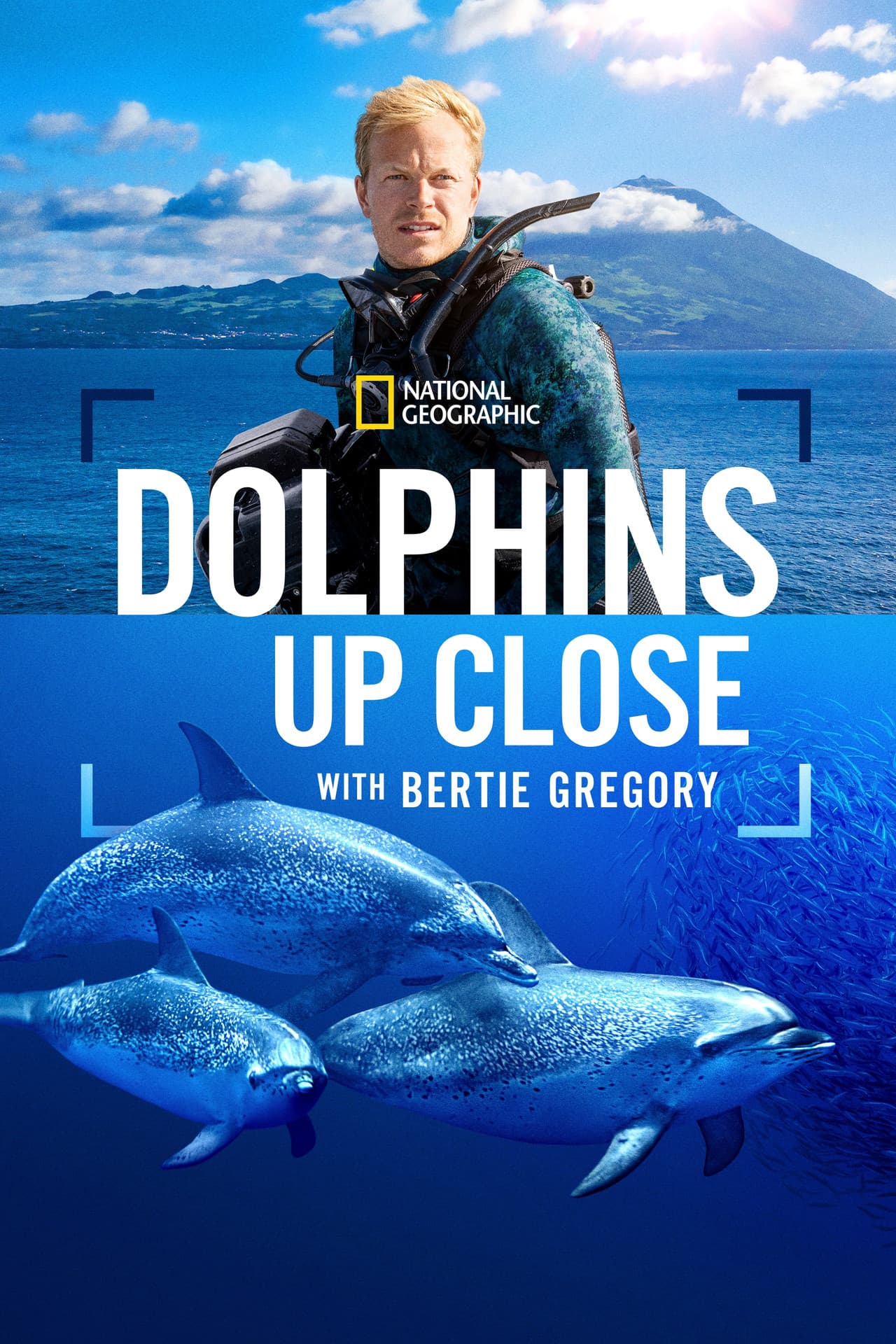 Dolphins Up Close with Bertie Gregory preview 2