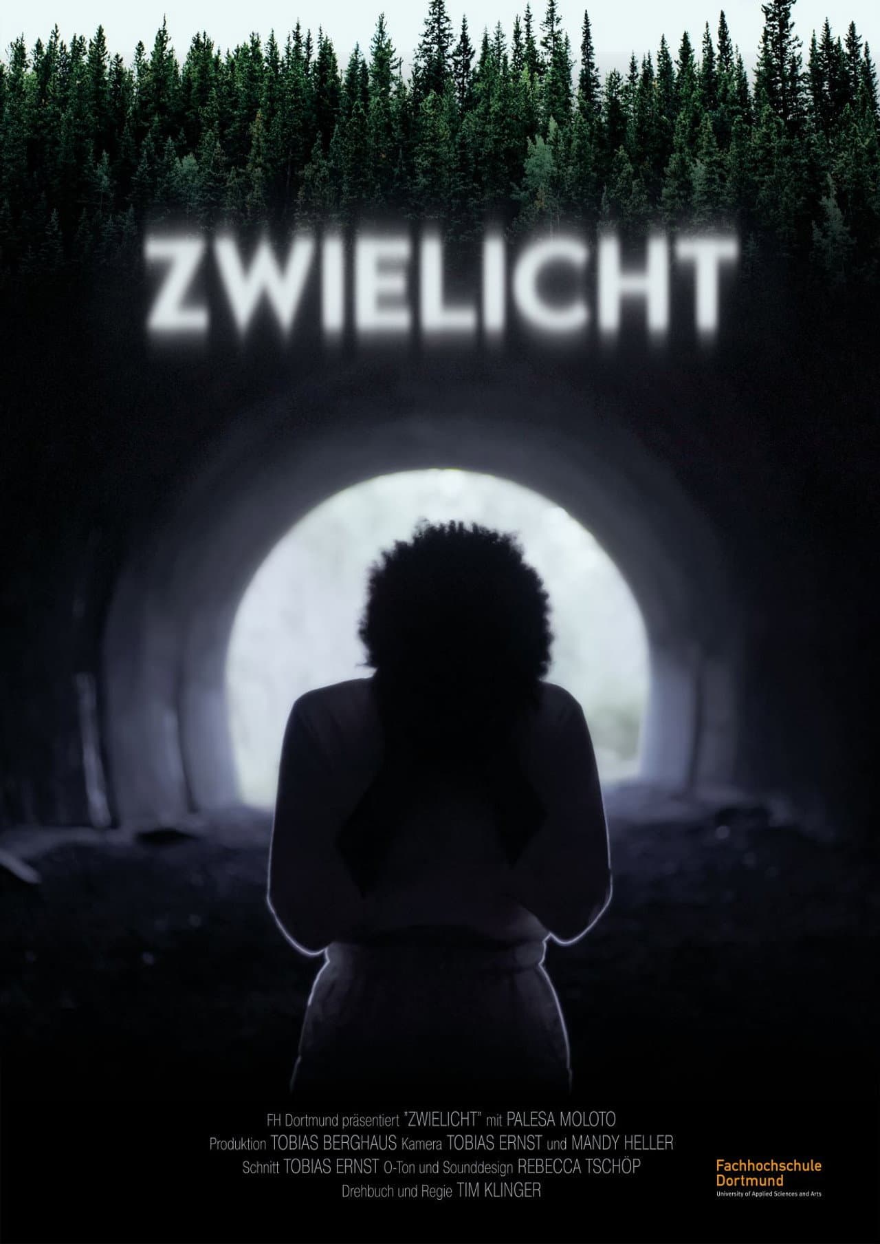 Zwielicht preview 1