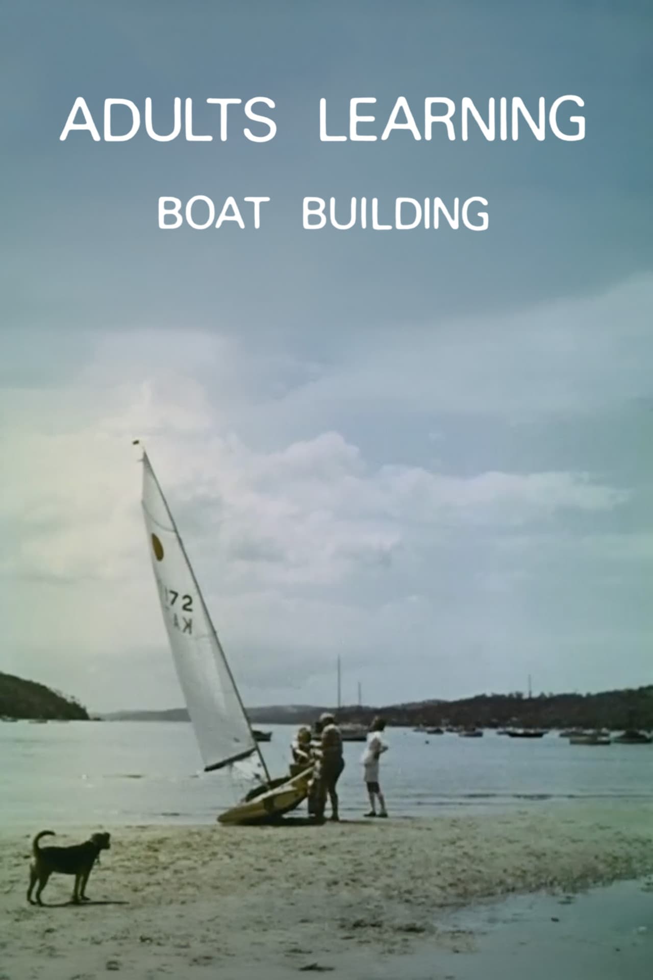 Adults Learning: Boat Building preview 1