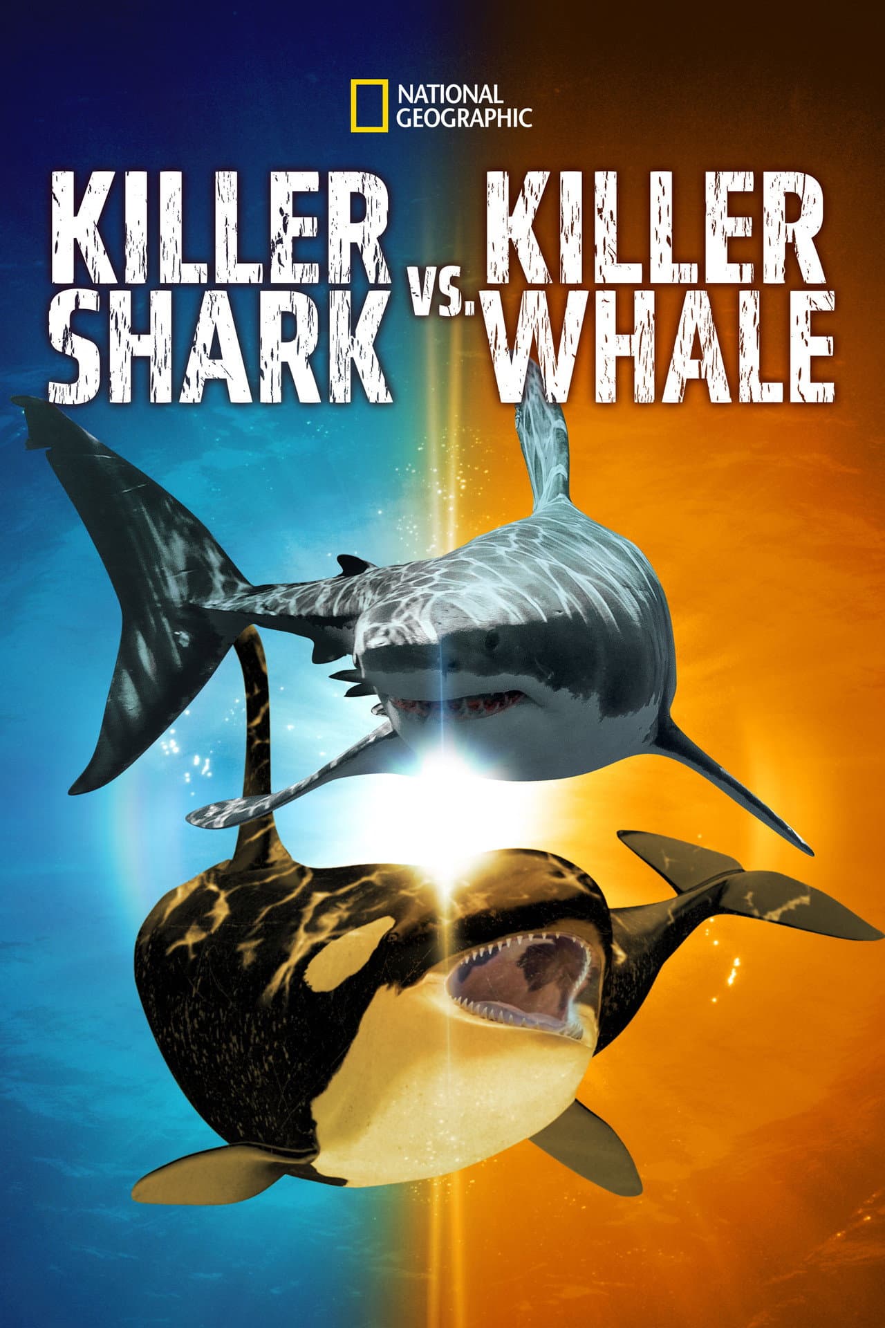 Killer Shark Vs. Killer Whale preview 2