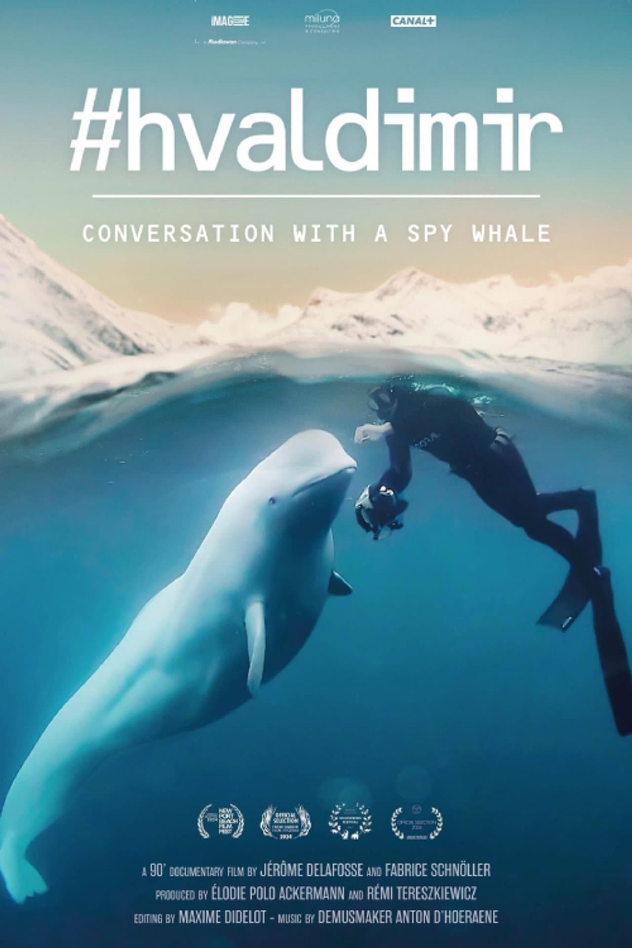 #Hvaldimir, Conversation With a Spy Whale preview 2