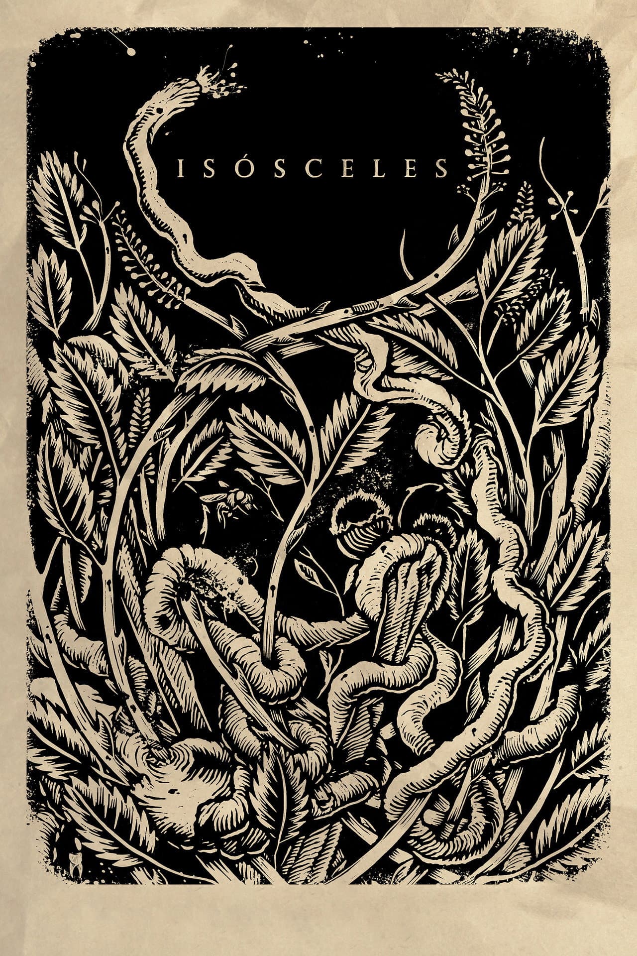 Isósceles preview 2