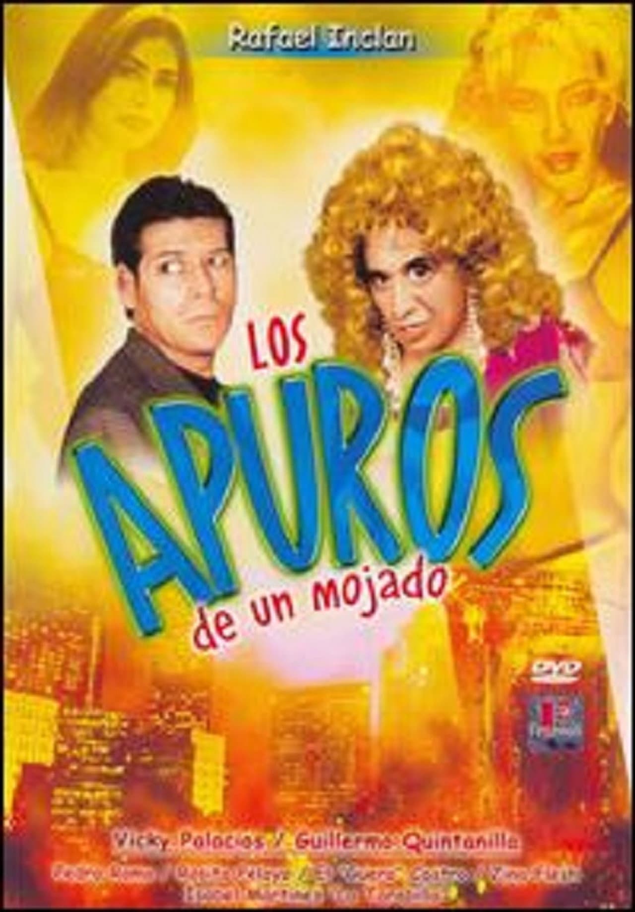 Los apuros de un mojado preview 1