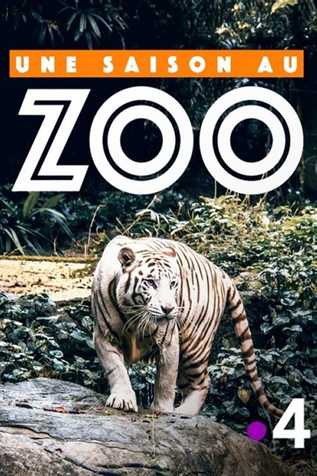 Une saison au zoo preview 2