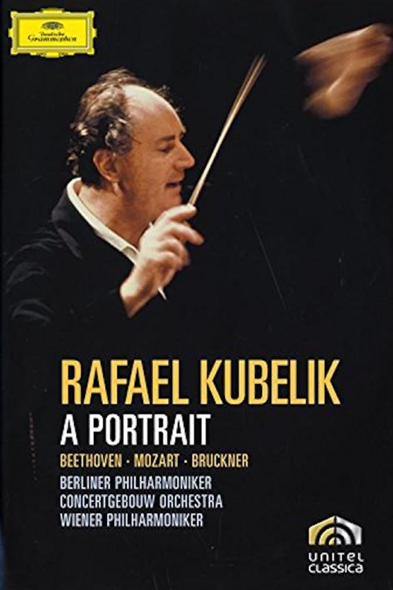 Rafael Kubelik A Portrait preview 1