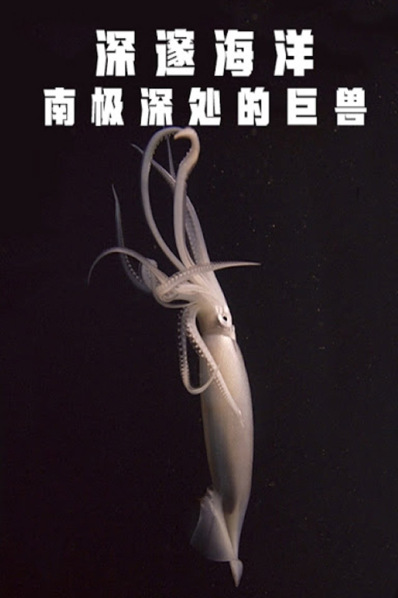 Deep Ocean: Giants of the Antarctic Deep preview 1