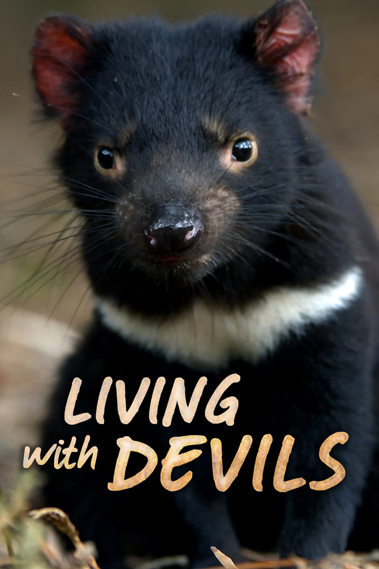 Living with Devils preview 2