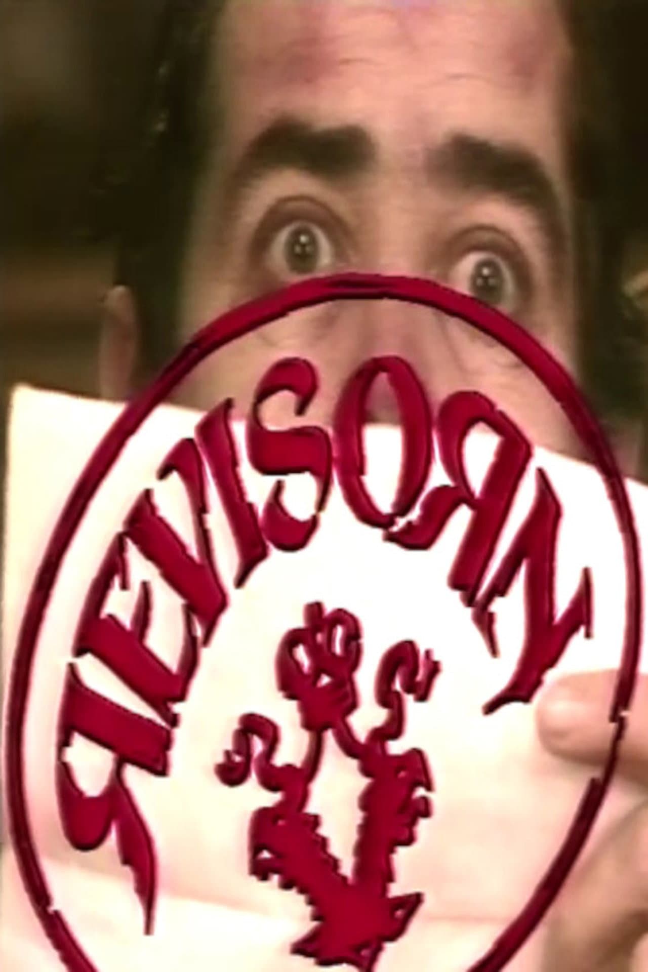 Revisorn preview 2