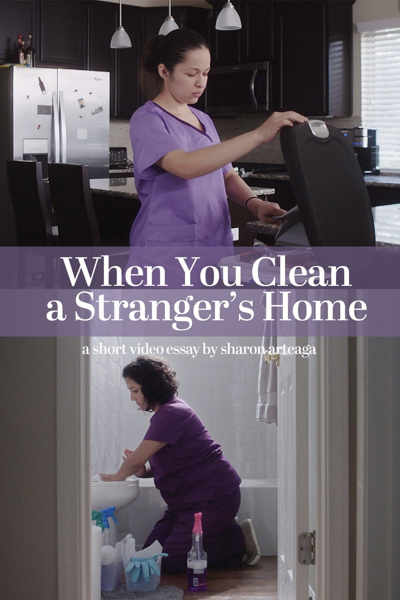 When You Clean a Stranger's Home preview 1