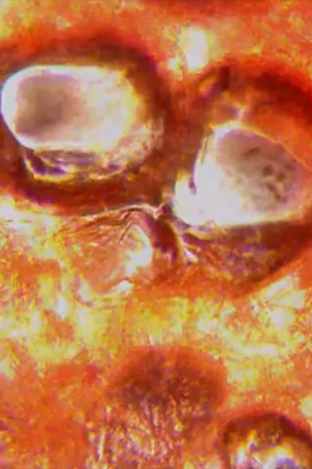 Hell preview 1