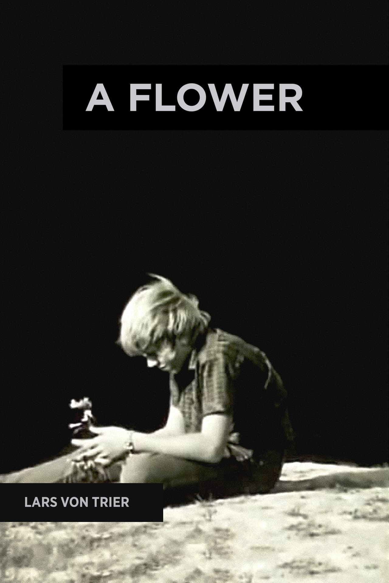 A Flower preview 1