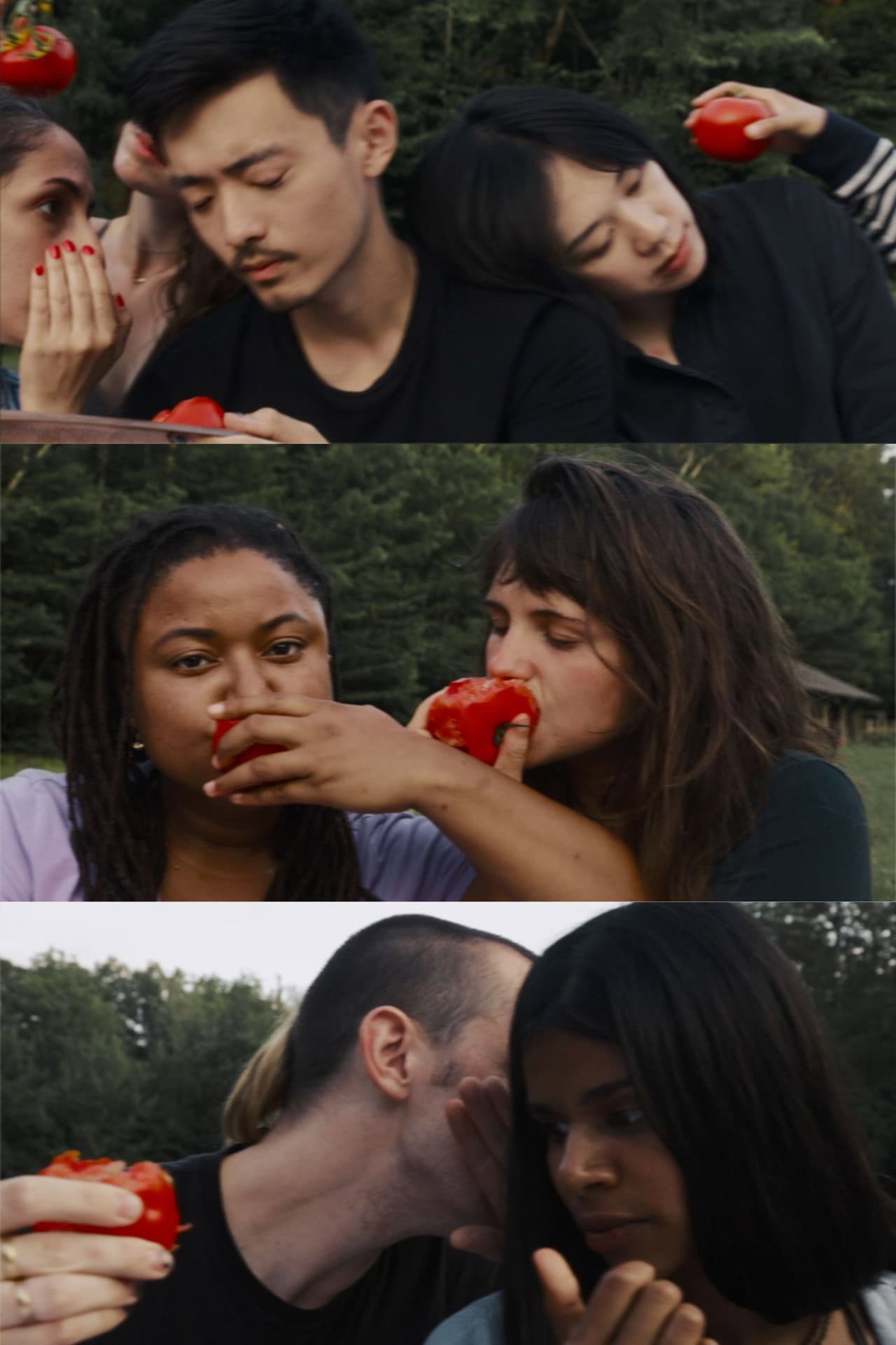 Tomatoes preview 2