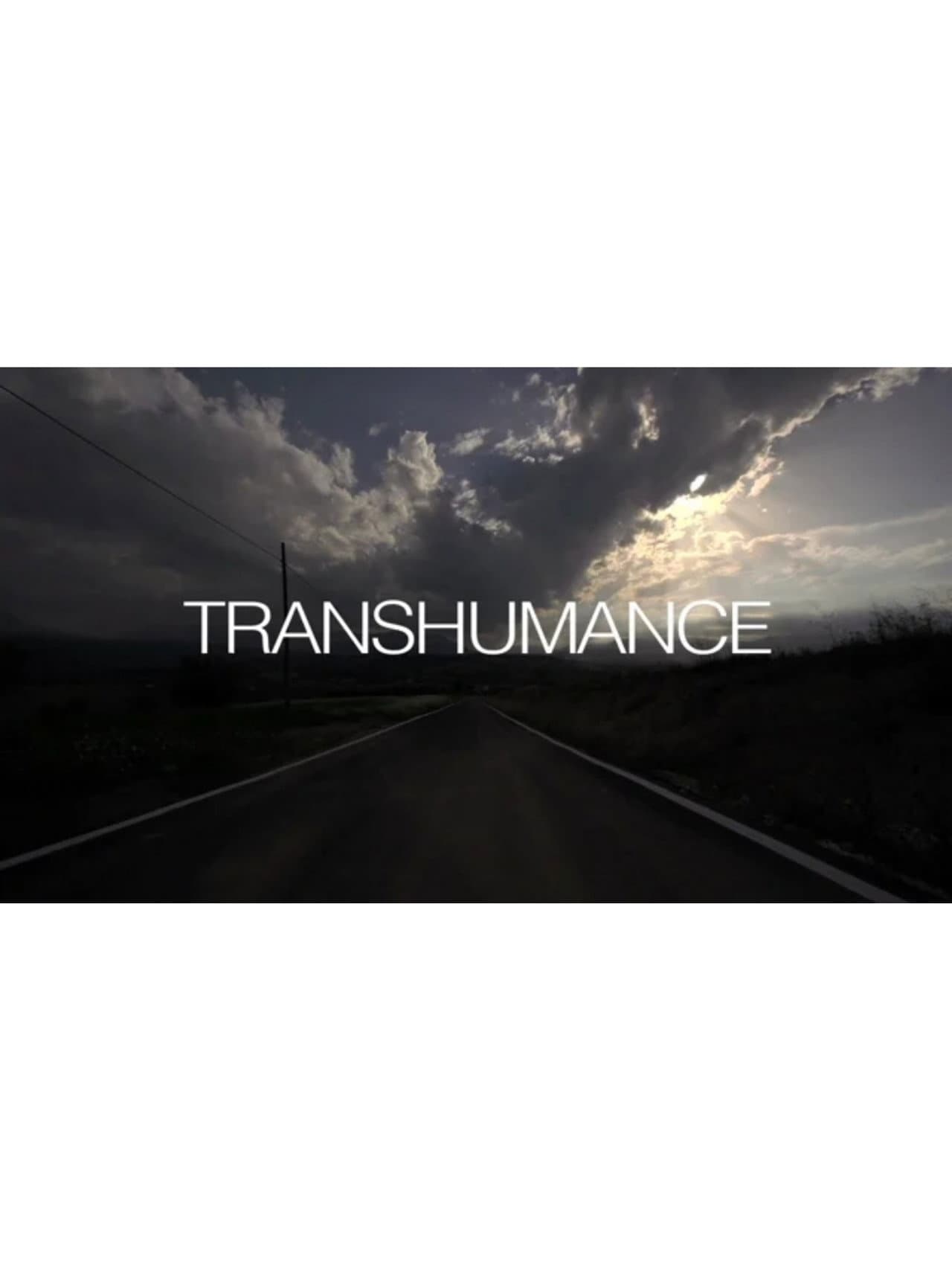 Transumanza preview 1